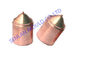 Electrodos de puerta plásticos de cobre de los electrodos del cobre de las piezas EDM del molde para el molde cosmético