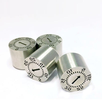 Años interchangable estándar 2021 del cuerpo del DME de las ventas de la fábrica con el neutral de la flecha para el molde plástico